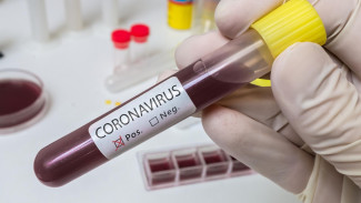 Печальный рекорд: на Ямале плюс 115 заболевших коронавирусом за сутки