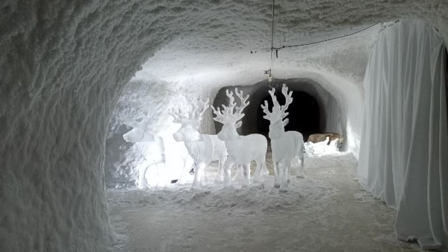 Уникальный музей в ледяной пещере: Тазовский мерзлотник привлекает туристов
