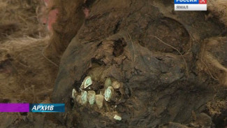 Корейские ученые реконструируют лицо мумии зеленоярского мальчика