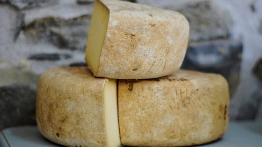Специалисты назвали неожиданную пользу сыров