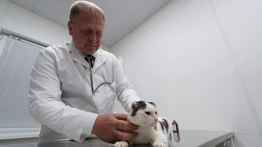 Ветеринар из Тазовского района получил звание «Заслуженный ветеринарный врач РФ»