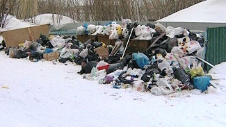 В России ужесточат контроль за теми, кто вывозит свои отходы в лес