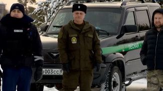 В Ноябрьске пресекают незаконную вырубку елей