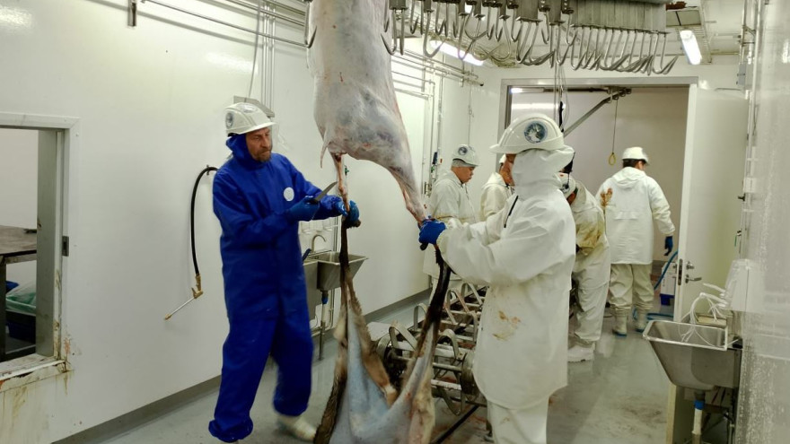 Новый модульный убойный комплекс установили в Тазовском районе