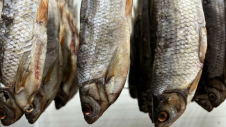 Новый цех в Надыме увеличит производство рыбных продуктов на 315 тонн в год