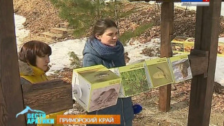Наплыв туристов на «Землю леопарда» во Владивостоке побудил открыть там необычную школу