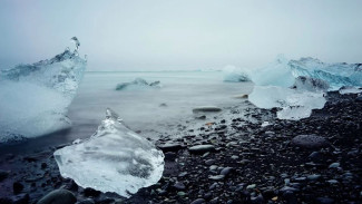 В помощь исследователям: Научный центр изучения Арктики объявил набор волонтеров