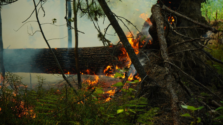 На Ямале зафиксировано 2 природных пожара 