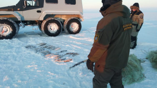 Незаконная добыча: на Ямале задержали рыбака с краснокнижным уловом