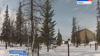 120 многодетных семей Ямала в этом году получили бесплатные земельные участки
