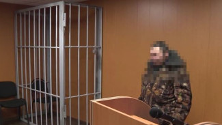 Выпил, сел за руль, попал под арест: о наказании для горе-снегоходчика