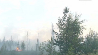 Лесные пожары на Ямале: ситуация в Надымском районе стабилизируется, чего не скажешь о Приуральском и Шурышкарском