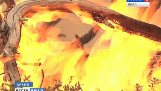 27 природных пожаров активны на Ямале в данный момент