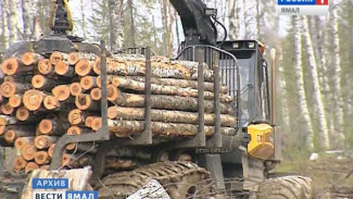 Как сделать лесную промышленность Ямала конкурентоспособной и рентабельной?