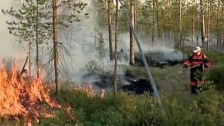 На Ямале увеличили силы пожаротушения