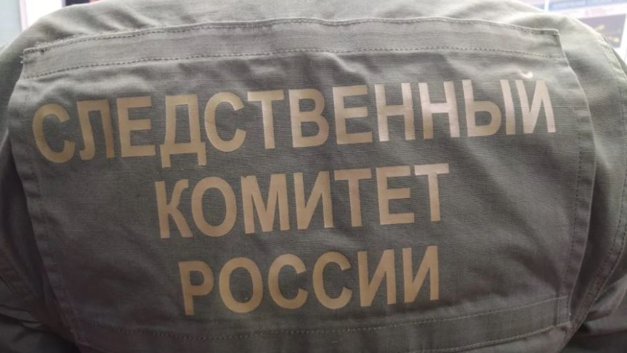 Следком завершил расследование дела о гибели женщины в Панаевске