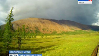 Лесные секьюрити на Пятиречье и инспекторская прогулка по природному парку. Как обезопасить природу от туристов-нарушителей?