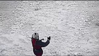 На Ямале снежная лавина, сошедшая на ребёнка, привела к уголовному делу