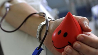 Спасти жизнь и получить льготы. Жителей Губкинского призывают стать донорами крови