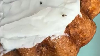 Жители столицы округа жалуются на тараканов в хлебобулочных изделиях