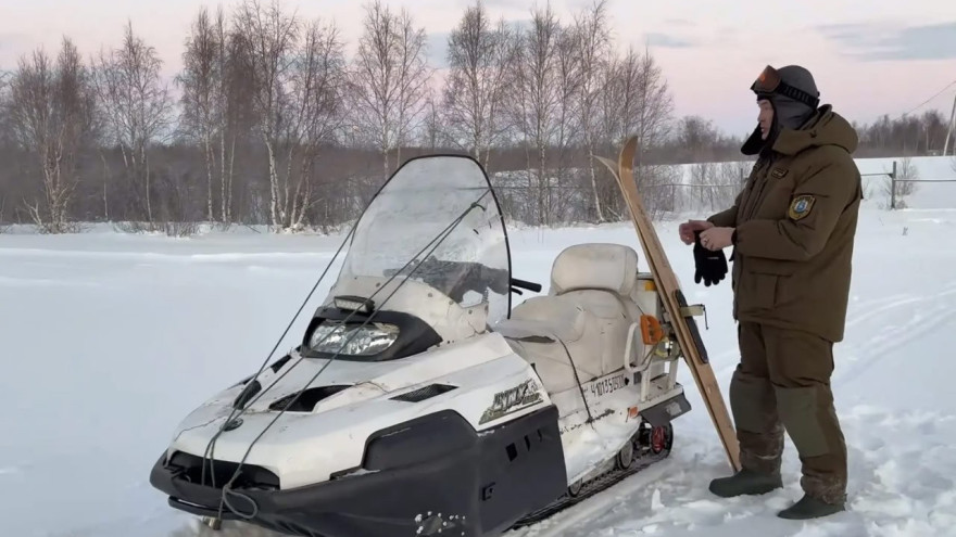 Ямальские экологи вышли на поиск следов росомахи и северного оленя
