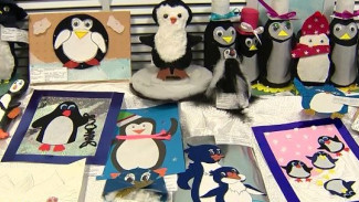 От шерстяных ниток до электрических лампочек: красавцы-пингвины с тазовской пропиской 