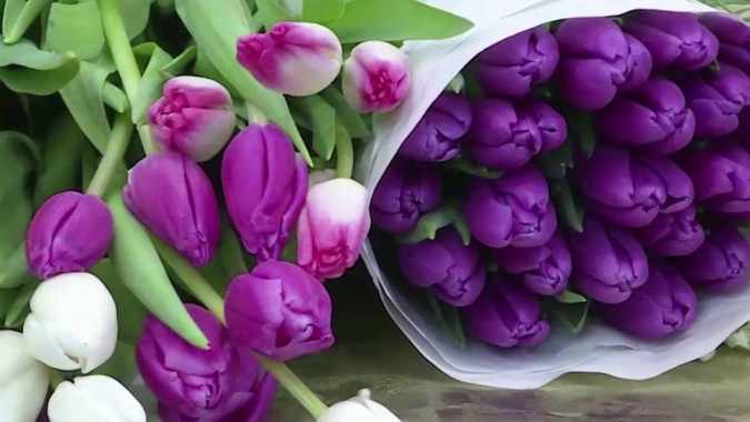 Тюльпаны вместо манифестов: как 8 Марта стал самым нежным днем в году