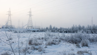 Суровые морозы ожидают ямальцев 24 февраля