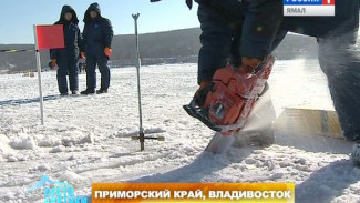 Начинающие ученые из Владивостока проверяют на прочность местный лед