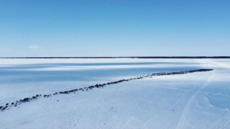 Аборигены Ямала начинают каслание на север к Карскому морю