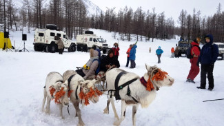 Ямал вошел в тройку лидеров по арктическому туризму 