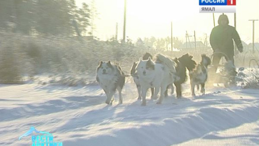 Впервые в мире в Якутии произвели сверхлегкие нарты