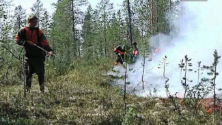 549 человек и 92 единицы техники этим летом будут защищать Ямал от лесных пожаров