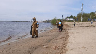 Волонтеры проекта «Будущее Арктики» очистили салехардский пляж от мусора