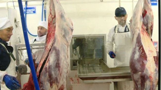 На Ямале продолжает набирать обороты основной этап заготовки мяса северного оленя