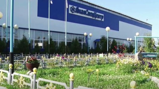 Производственники из Муравленко создали на предприятии зимний сад
