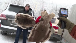 Арктический плащ-невидимка: ямальцы передали на передовую 100 оленьих шкур