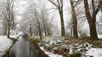Погода в Салехарде: синоптики обещают снег с дождем