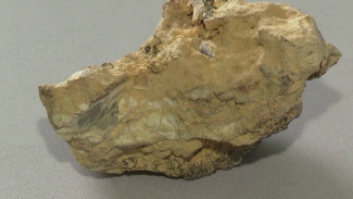 Научная сенсация из Якутии: впервые в мире найден минерал - спутник золота