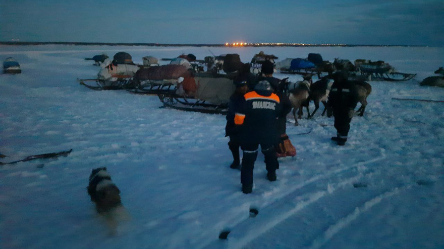 Оленья упряжка провалилась на реке