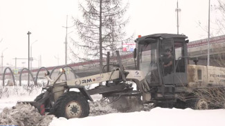 Новоуренгойские дорожники повредили деревья во время уборки снега 