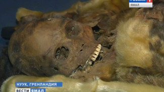 Гренландские мумии, и все о жизни инуитов. Уникальные экспонаты арктической истории