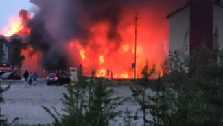 6 часов боролись с огнем: на Ямале произошел крупный пожар ВИДЕО