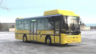 Делают дороги частью нашей жизни: на Ямале отметили День автомобилиста