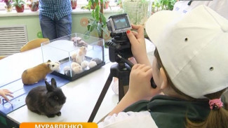 Всем мультики! В ЦДТ Муравленко открылась анимационная студия «Сами с усами»