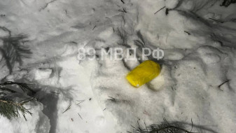 Полицейским удалось поймать наркодилершу из Ноябрьска в другом субъекте РФ