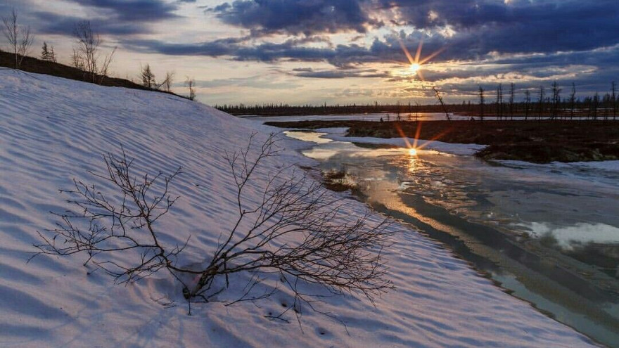 Погода на Ямале: зима сдаёт свои позиции