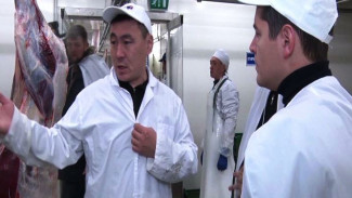 От убоя, до упаковки: технологию заготовки оленьего мяса на Ямале оценил глава региона