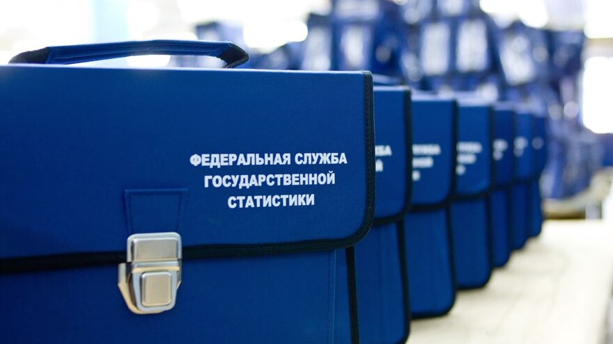 60 тысяч за талисман: организаторы Всероссийской переписи населения объявили конкурс