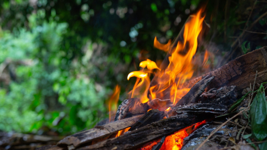 Ямал вошел в число регионов с высокими рисками возникновения лесных пожаров в июле